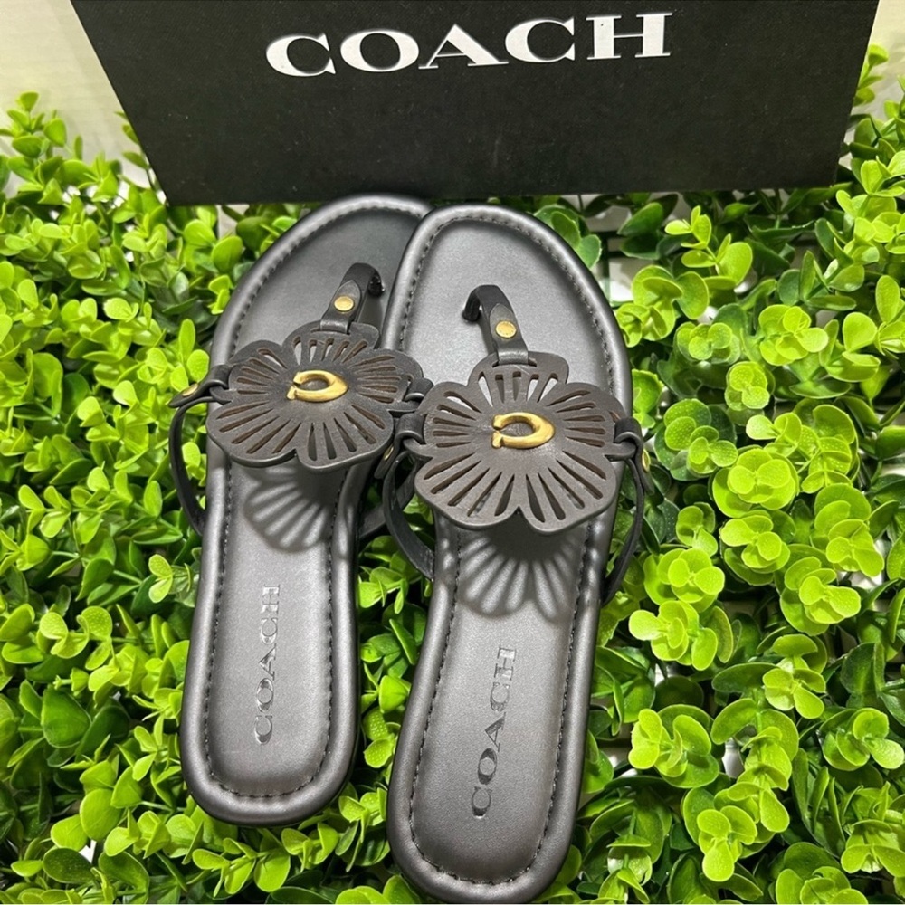 Coach Black Sandals with Sleek Design - Picture 11 of 13